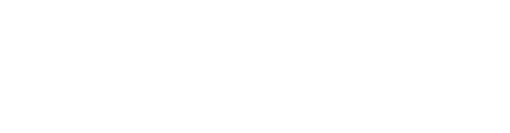 PersoFleet Logo Transparent